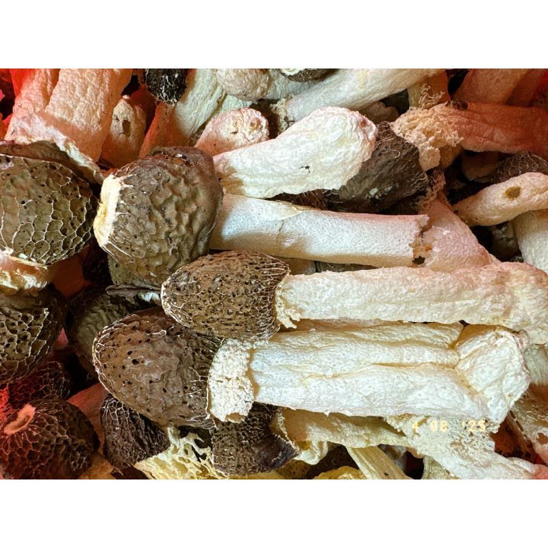  优质好货竹笙菇100克