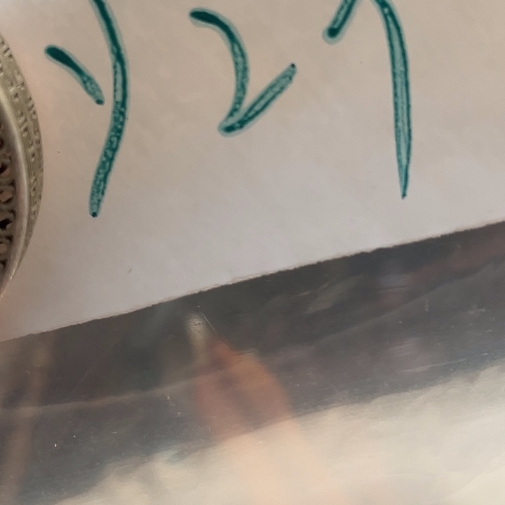 远***金属励志杂项直播专属链接