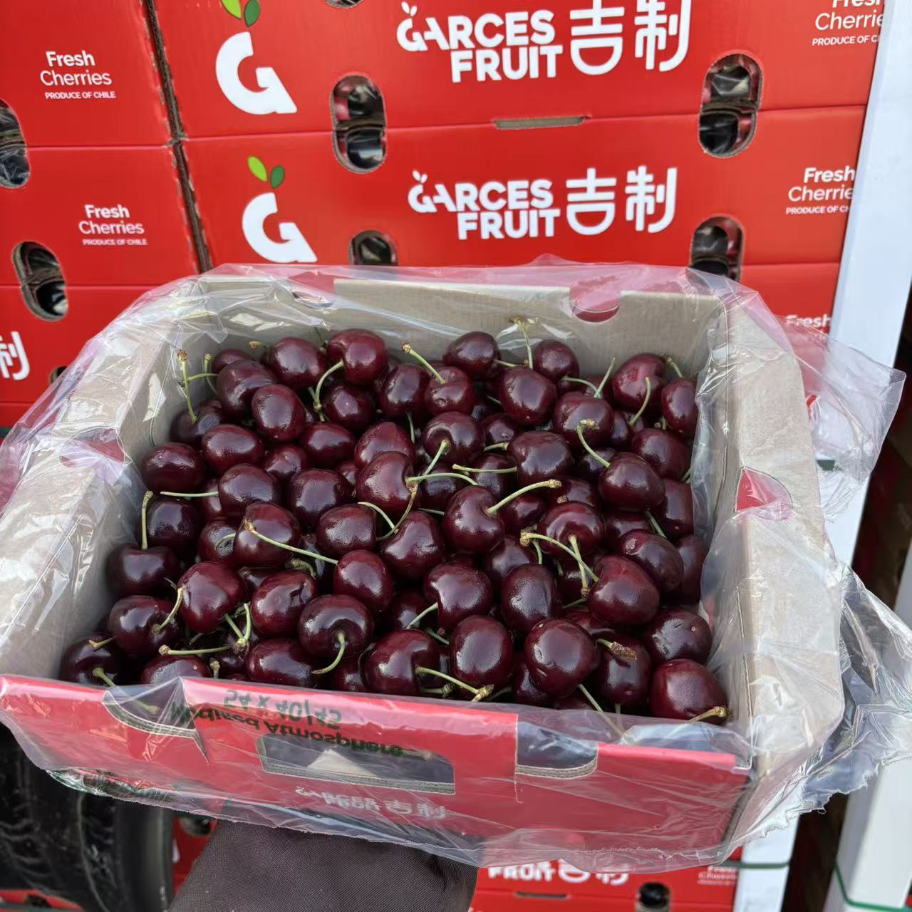 【吉制】智利海运车厘子桑提娜J～4J（内附果径卡）