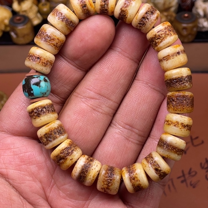 驼骨其他人工养殖