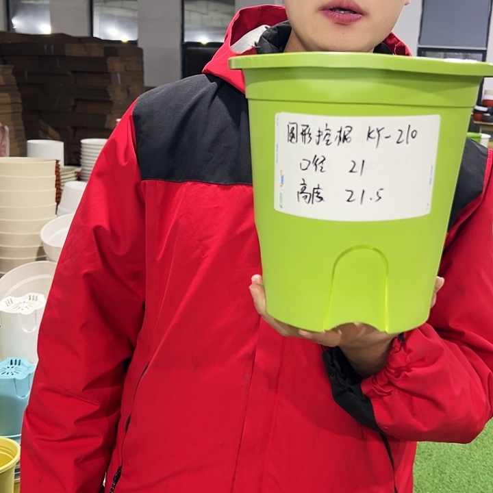 正品圆控口21高21果绿色8只无托