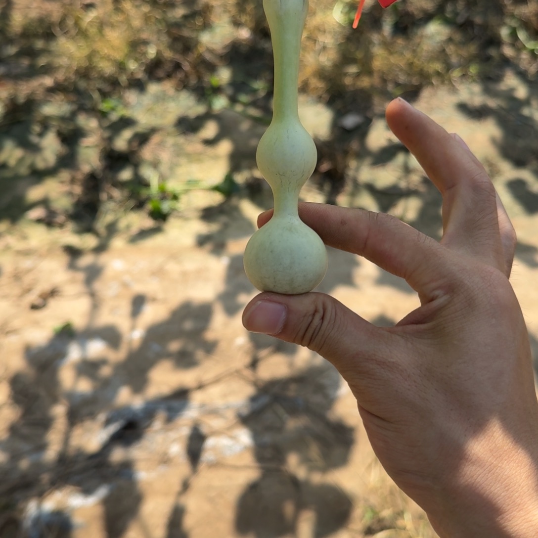 小***丶三庭一个月以后发货今天发空包