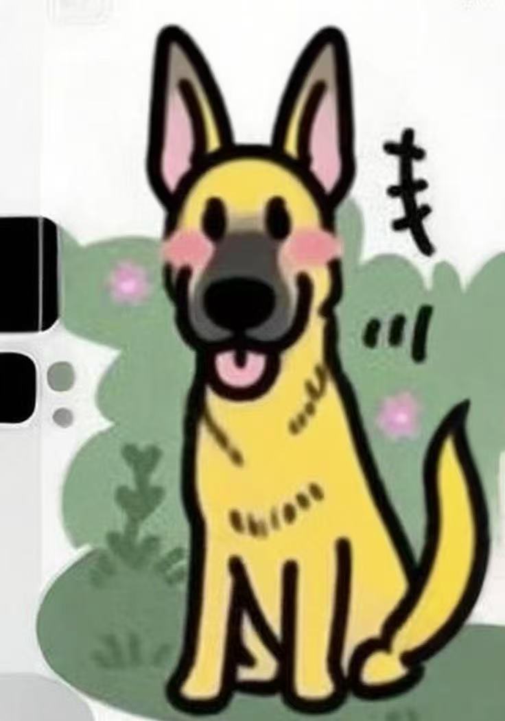  宠物玩具直播间链接 默认微瑕 满29.9包邮按号备注下单 NO退NO换