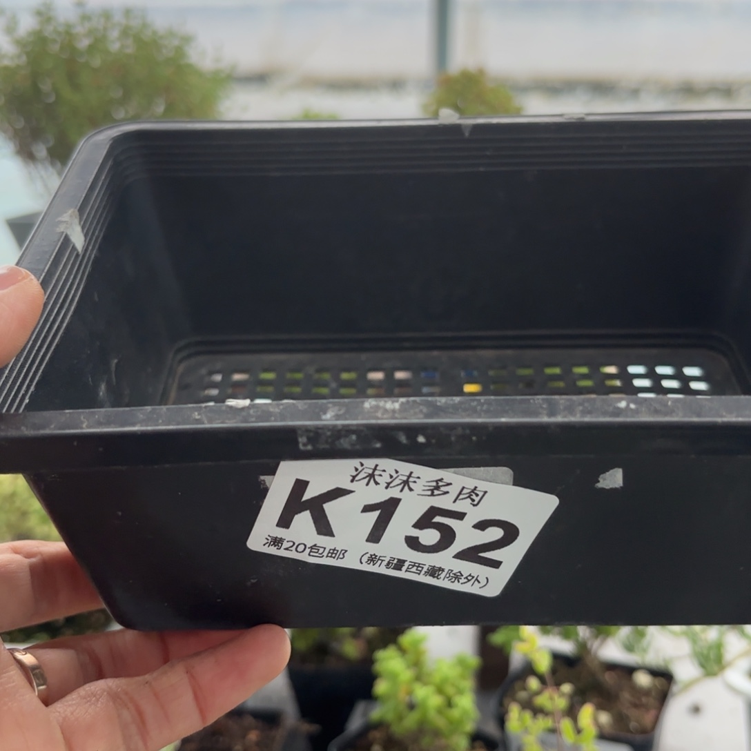 152盲拍组合福利哦