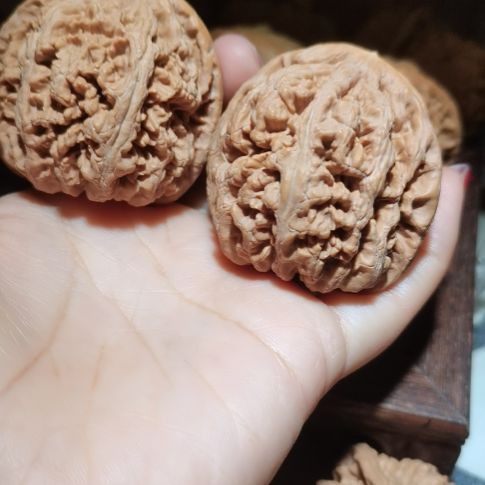 猴头核桃吊坠48粗筋