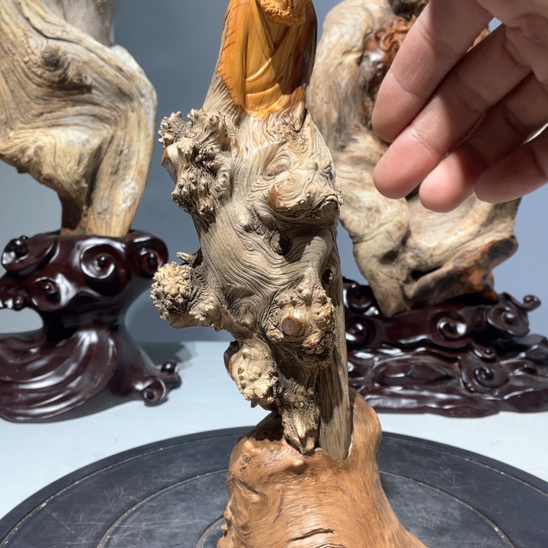 柏木（崖柏）284767879