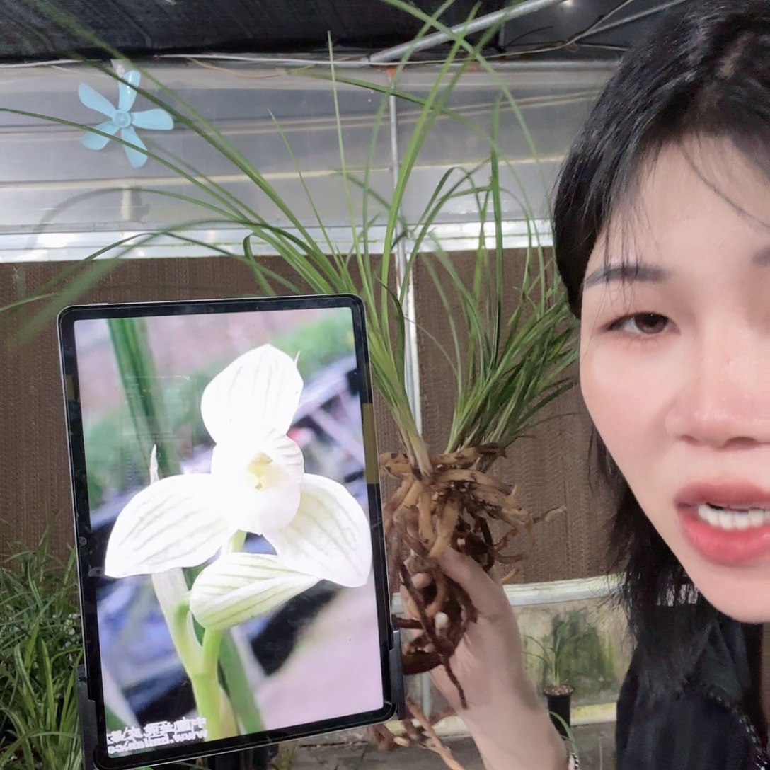 完全开放225888888