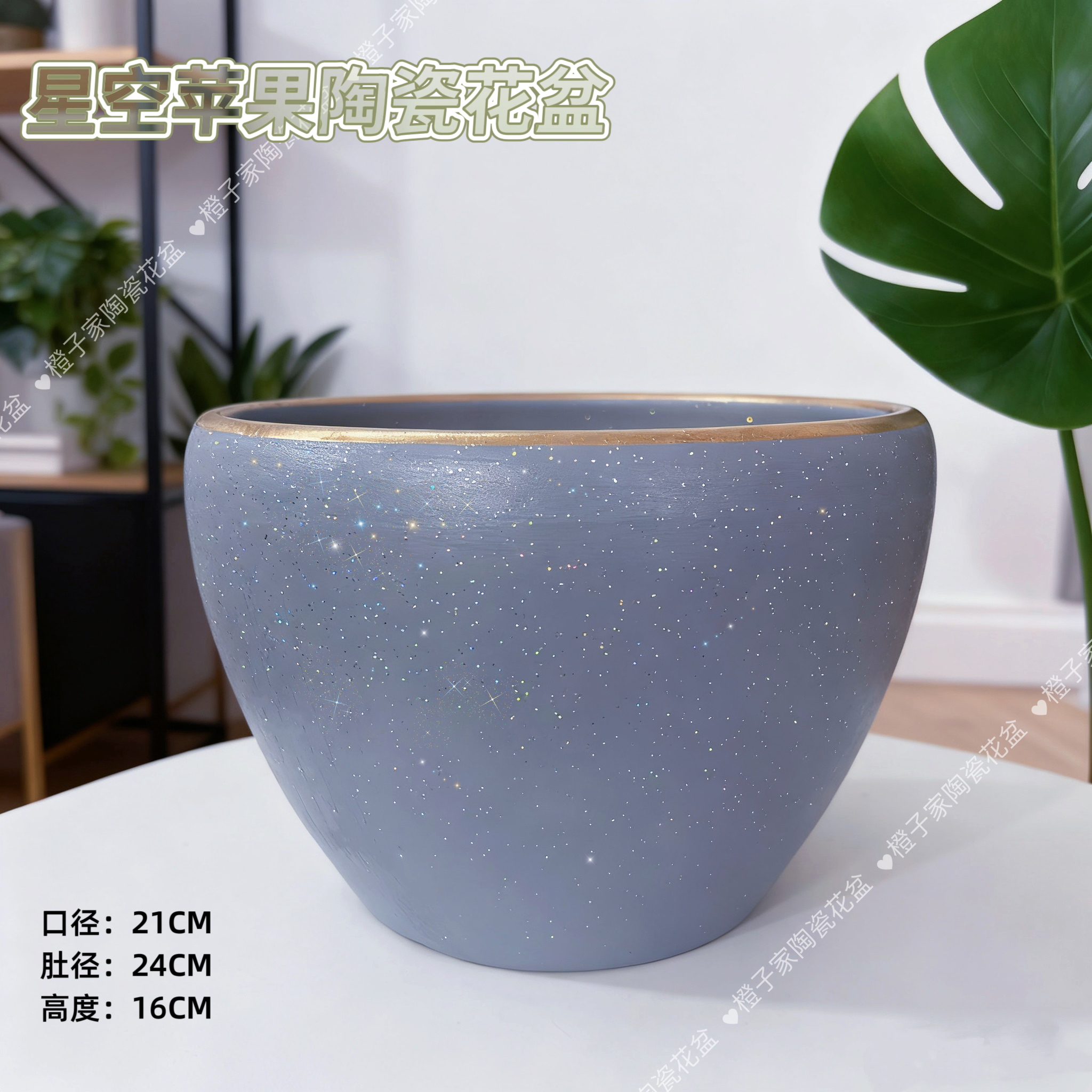 星空中号苹果口21高16创意高档玫瑰月季花蝴蝶兰花卉系列陶瓷花盆