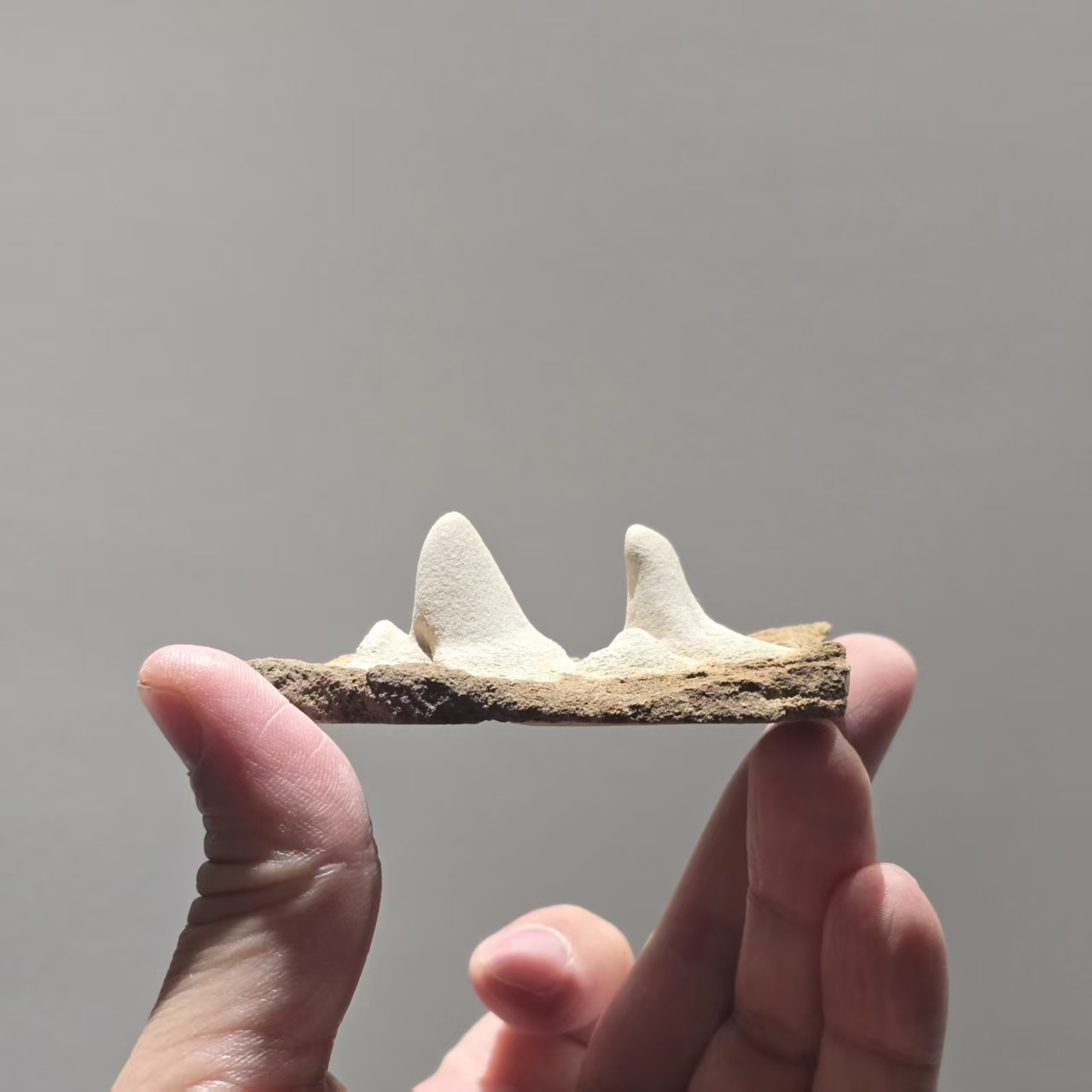 造景石摆件石 多规格一物一拍 图片仅供参考