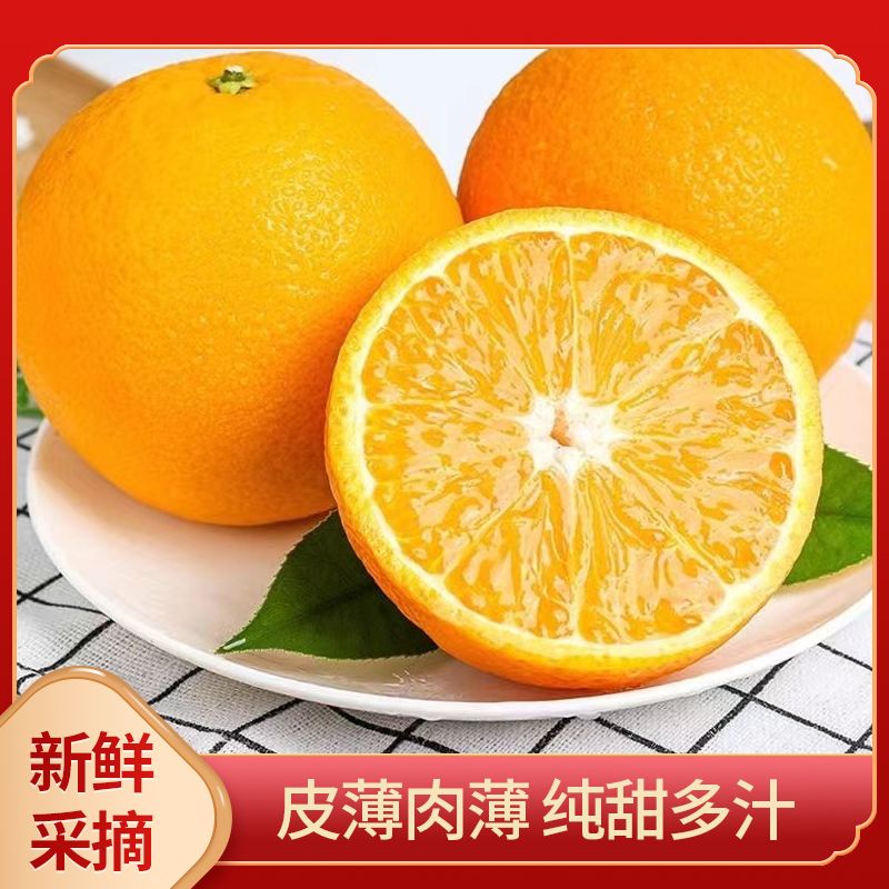 湖南郴州永兴冰糖橙新鲜现发