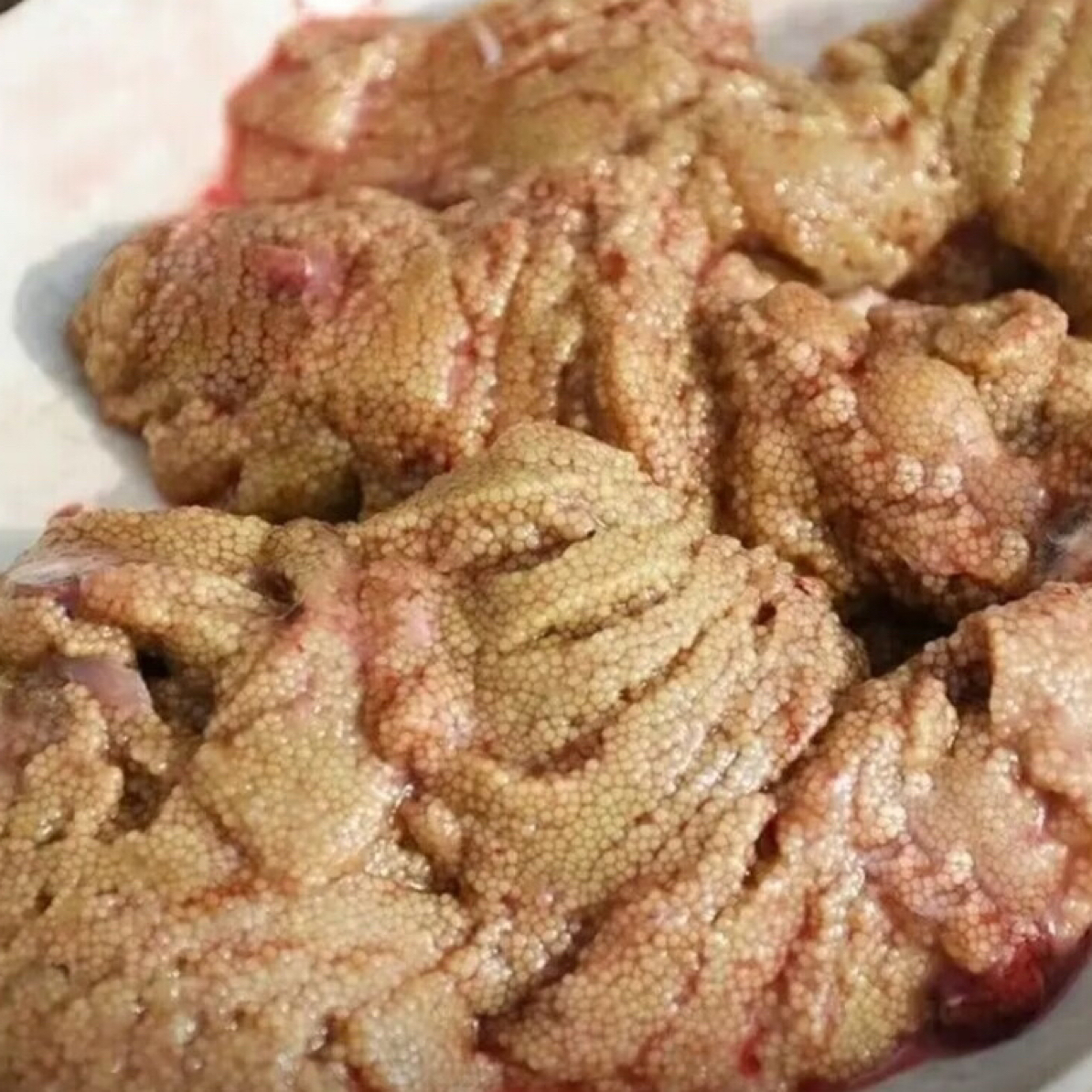 鲤鱼鱼籽两斤一份