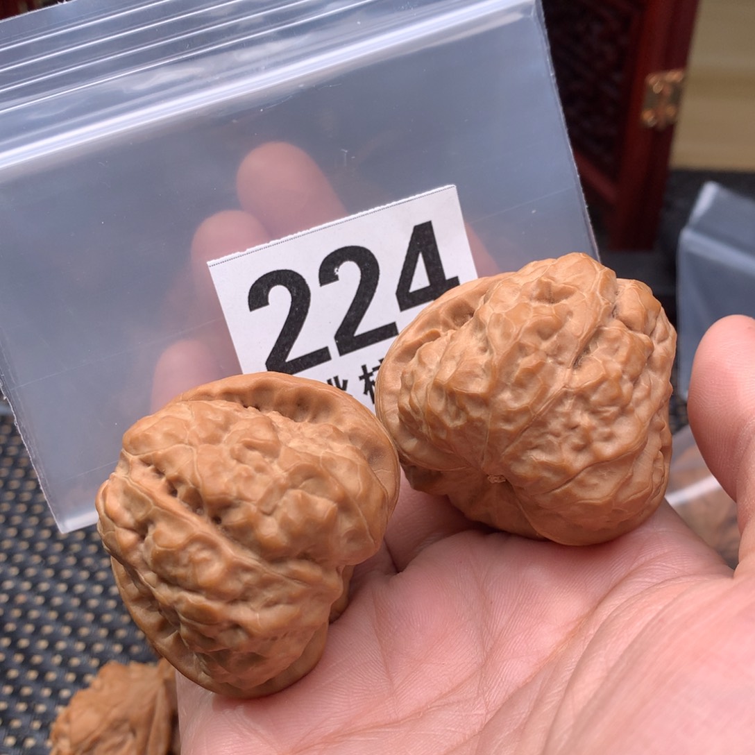 文玩核桃把件蛤蟆42