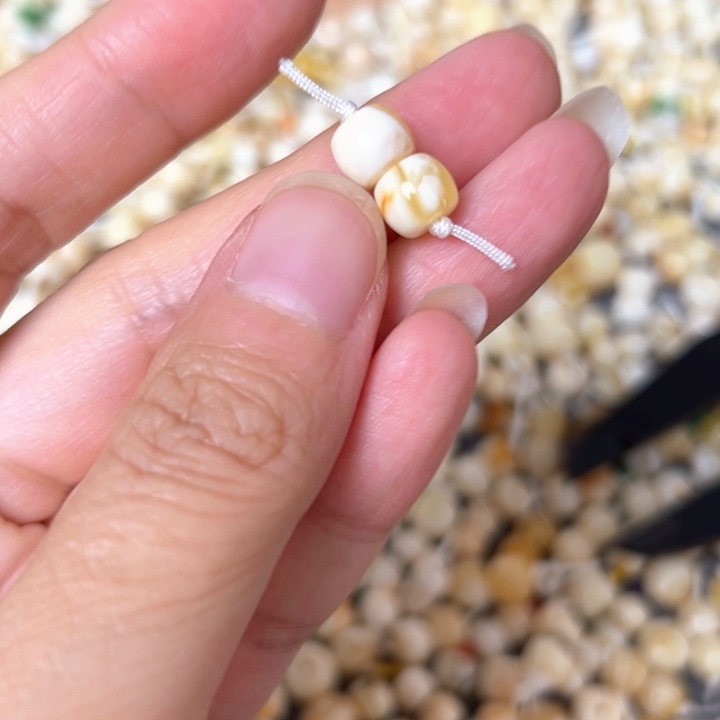 裸石蜜蜡未镶嵌7.3mm一对