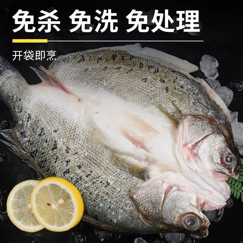 新鲜免清理海鲈鱼6条(每条7~8两)