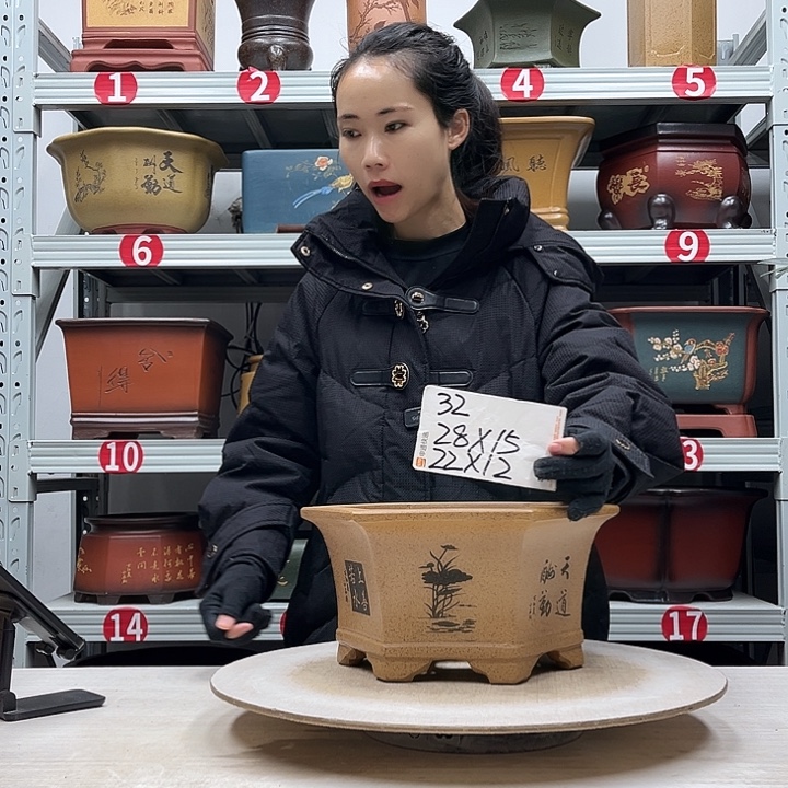 紫砂花盆紫砂花盆