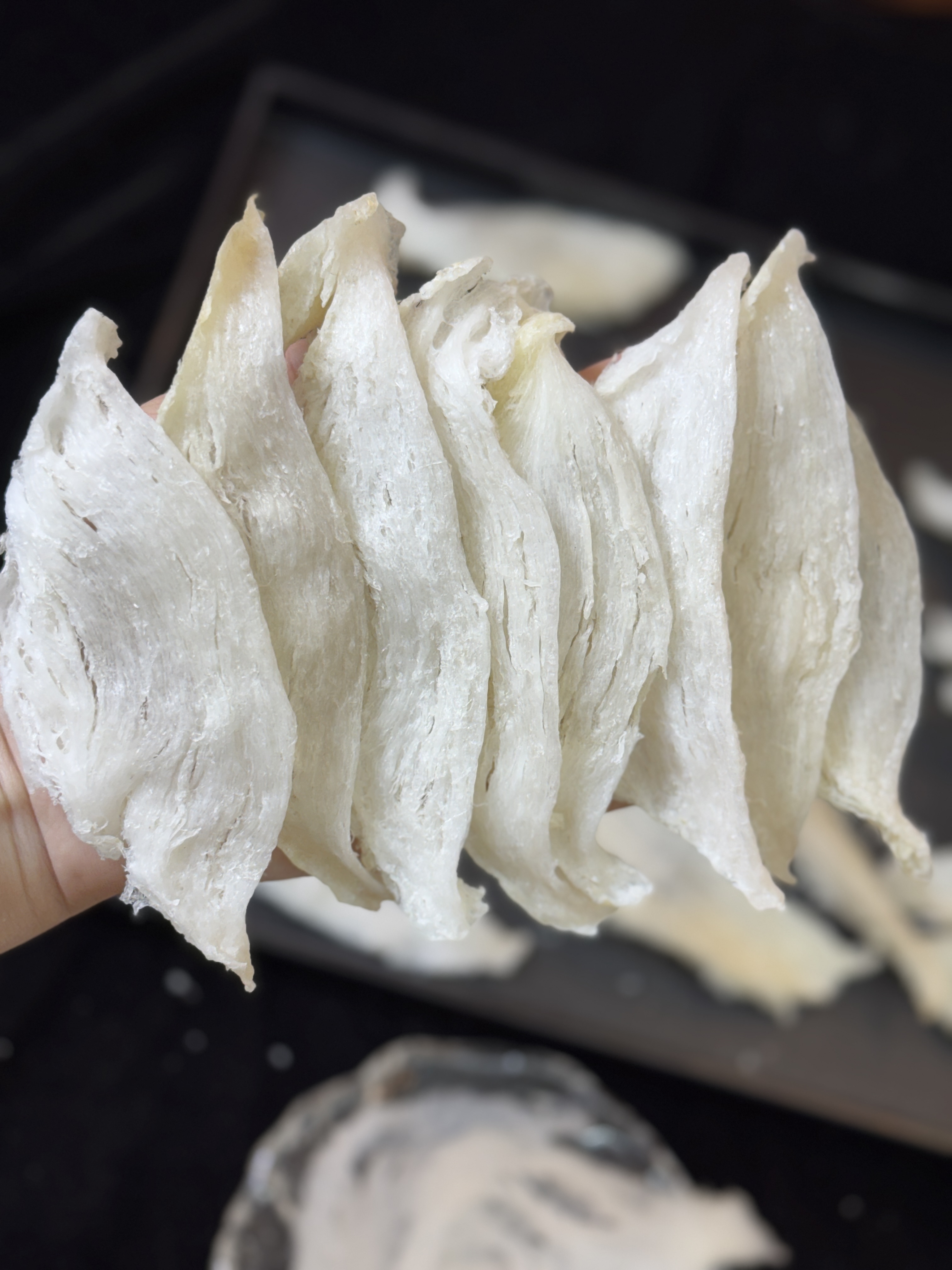 小太阳景云 大燕条 鱼胶花胶 100g