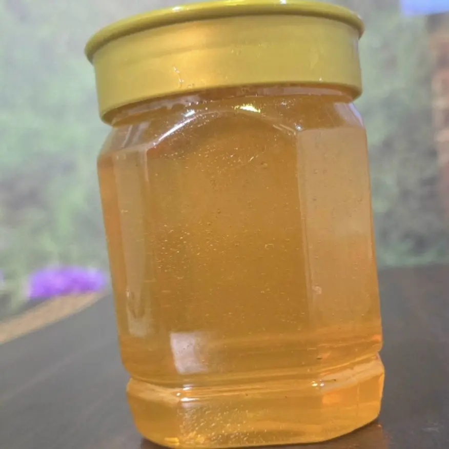 野生小酸枣蜜 太行山脉深山野生小酸枣花蜜农家自产自然成熟