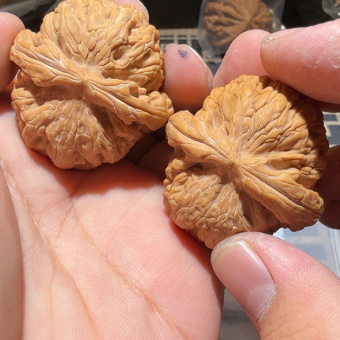 文玩核桃把件红锦鲤