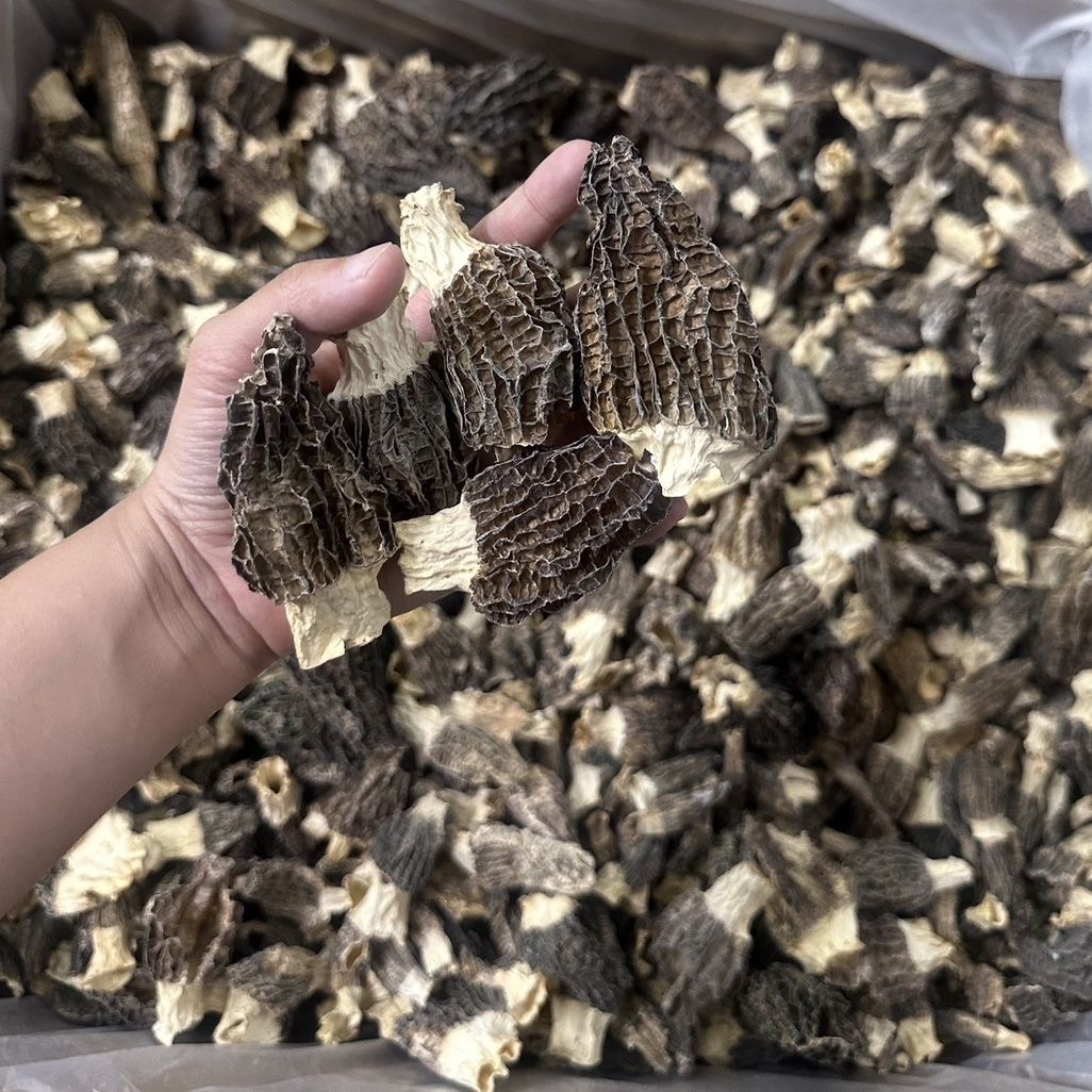 羊肚菌微破损菇残菇丑菇 头茬厚肉 营养不打折 自吃性价比高 