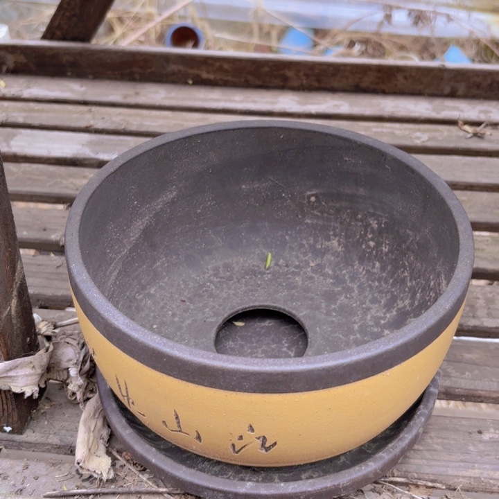 口径 高度 花盆 啦啦啦