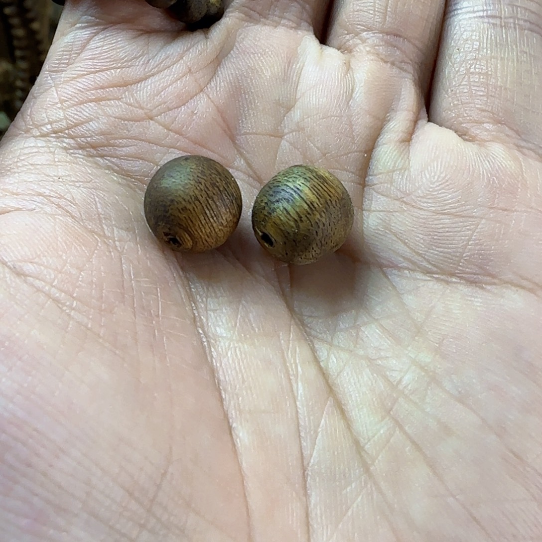 沉香沉香碎屑奇楠沉香碎1.1珠子