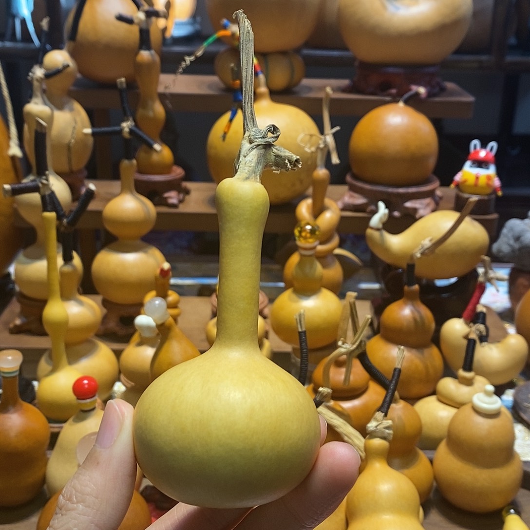 红***炉葫芦独霸一方葫芦一把