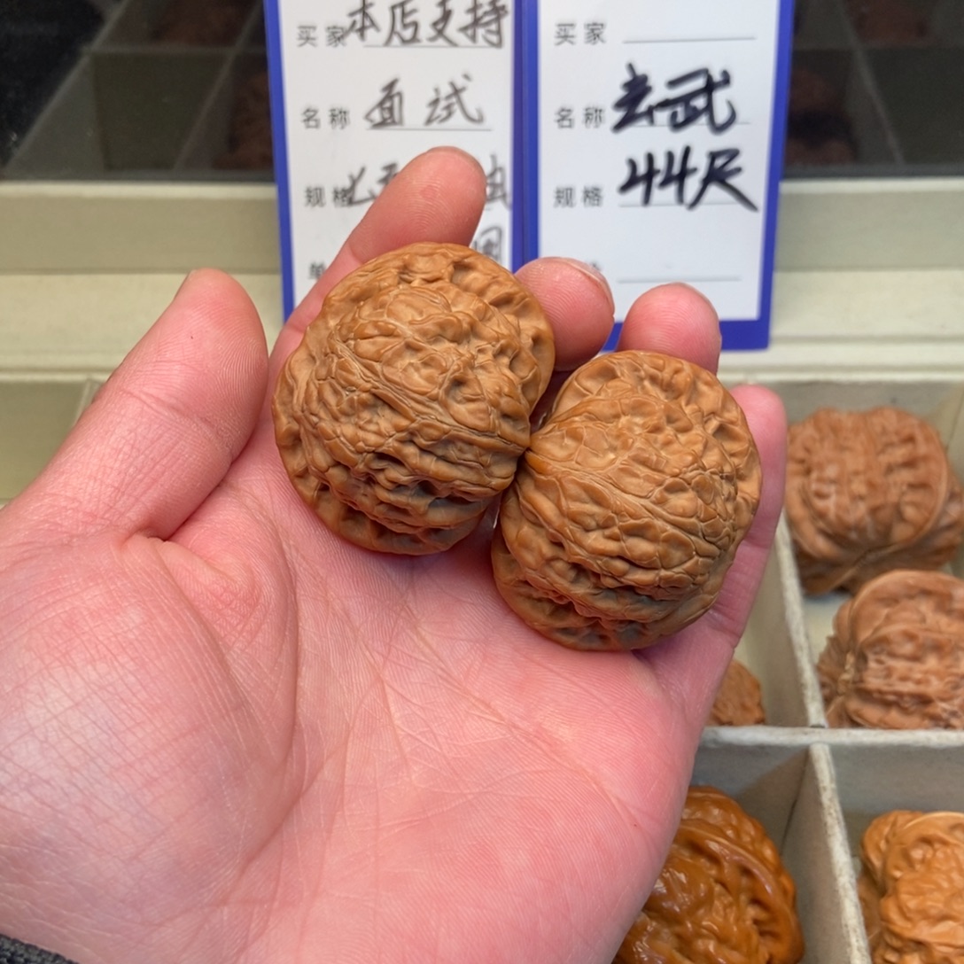 文玩核桃把件玄武（44尺寸）
