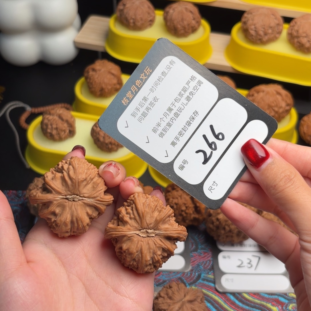 文玩核桃把件266号白狮子42尺三角白