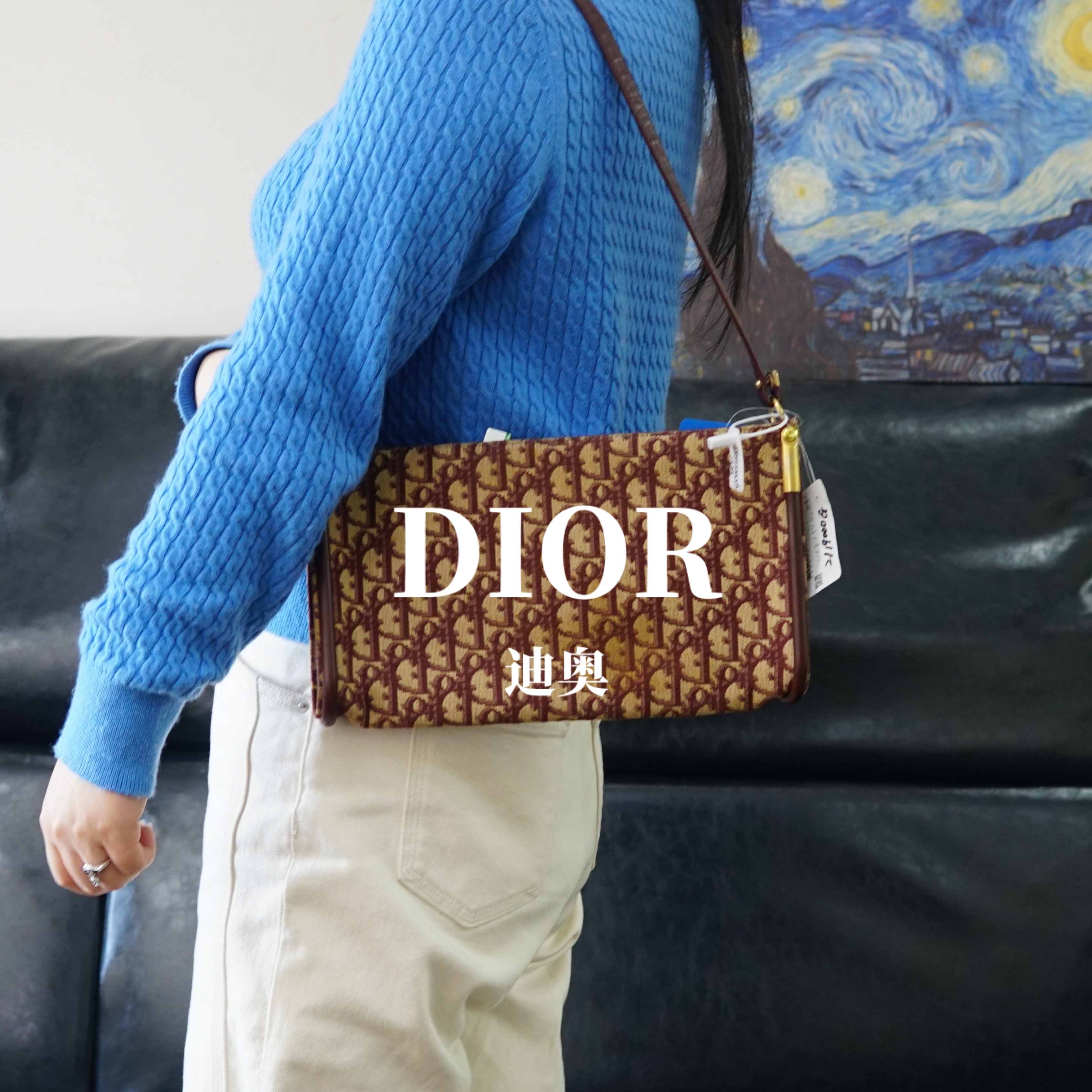 95新 DIOR/迪奥 老花单肩包/JJ01123559/3559