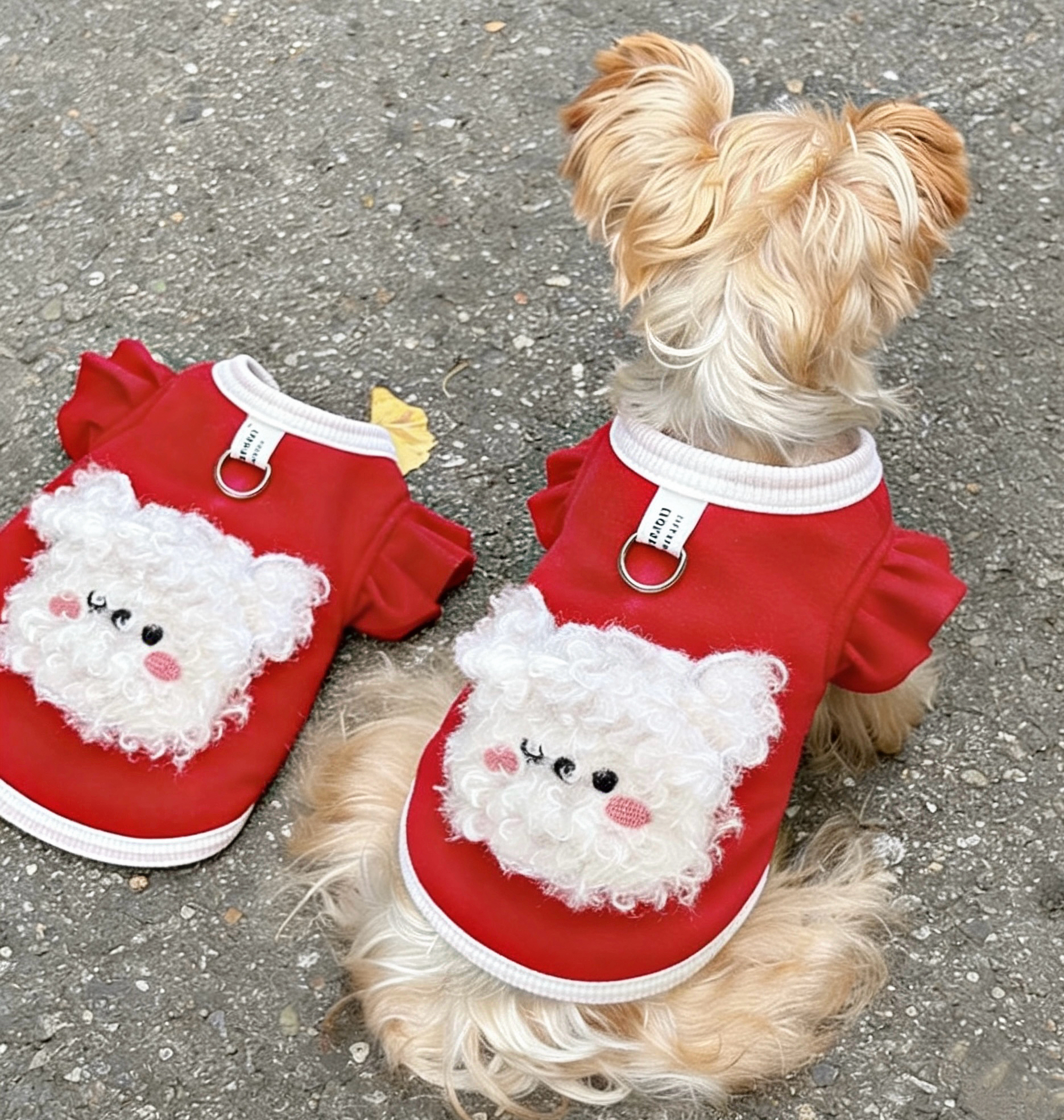 宠物服饰红绒小奶熊圣诞新年氛围款可爱加厚可牵引猫咪狗狗通穿