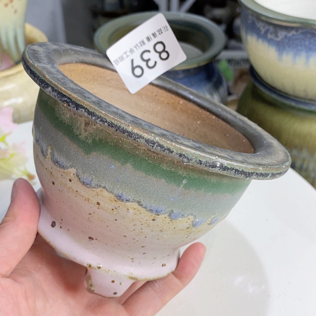 花盆花盆花盆花盆