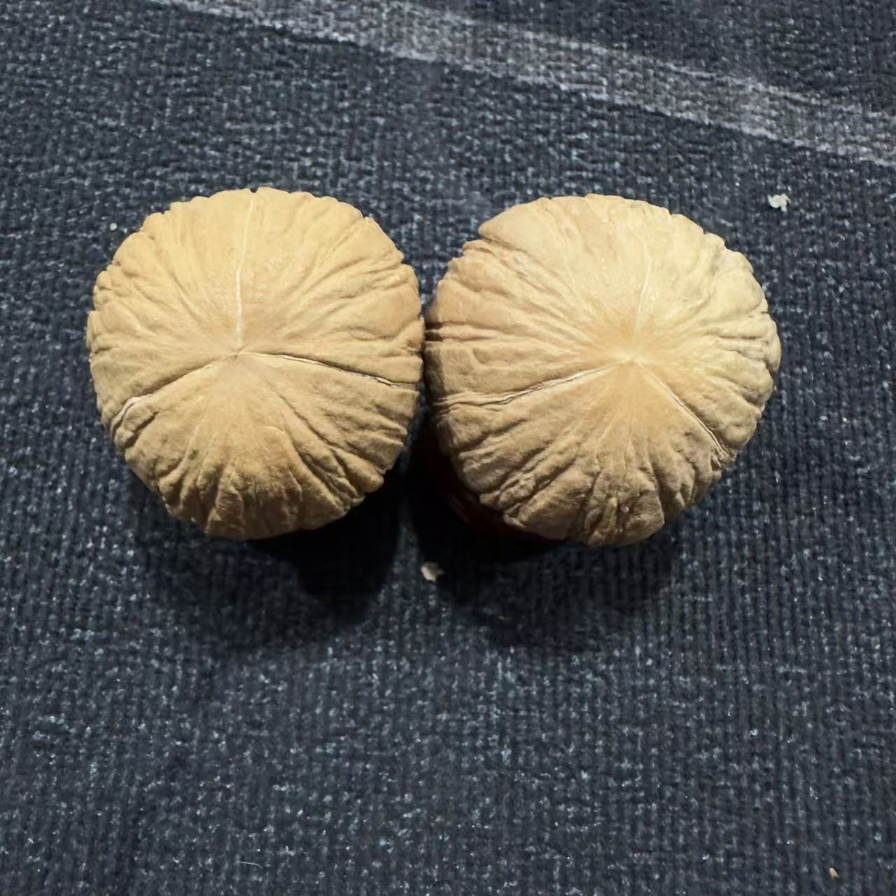 大尺寸三棱猴头核桃-132