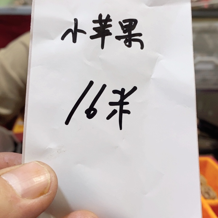 吊坠文玩核桃福利