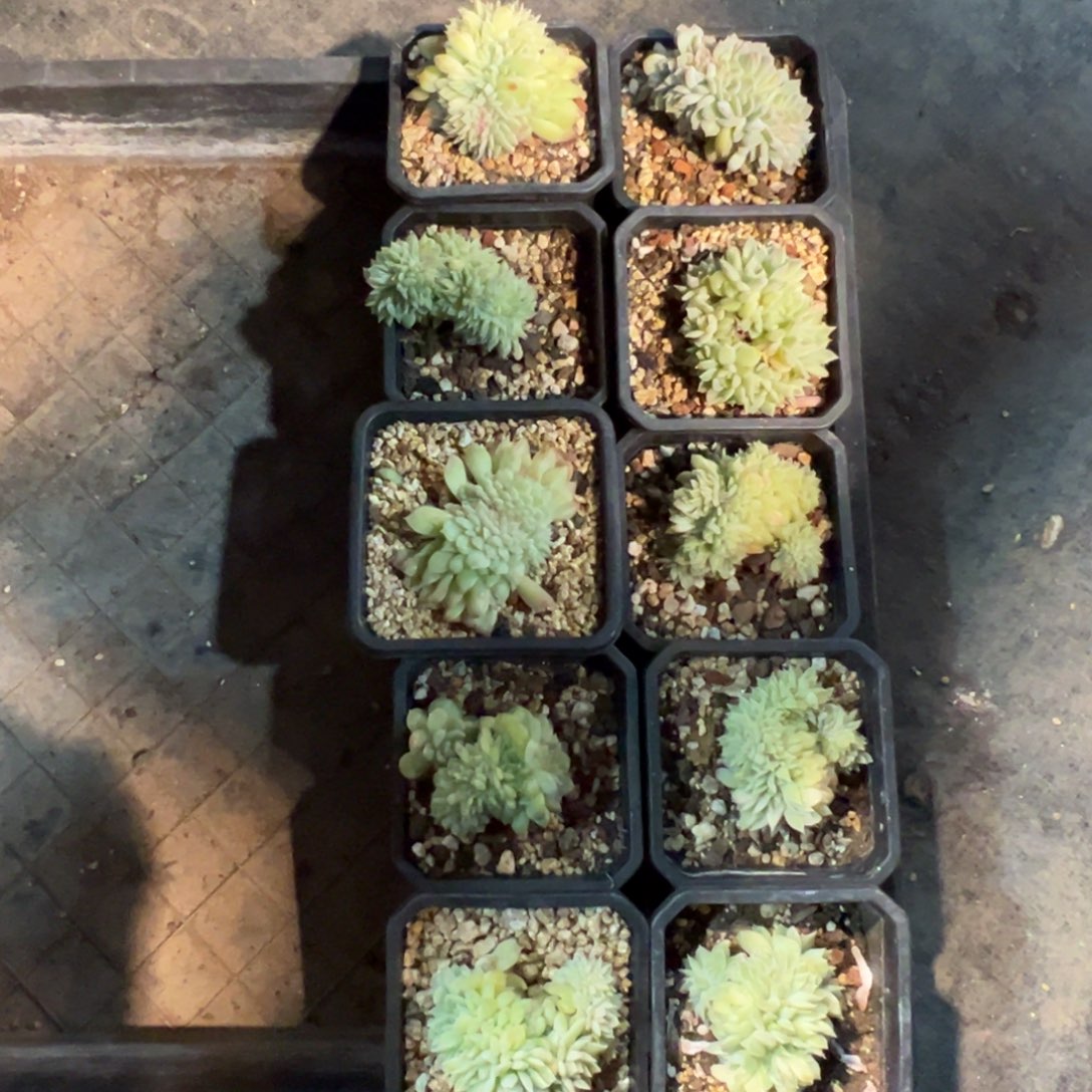 新年快乐 新年快乐