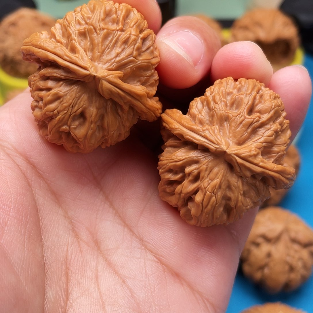 文玩核桃把件白白狮子37