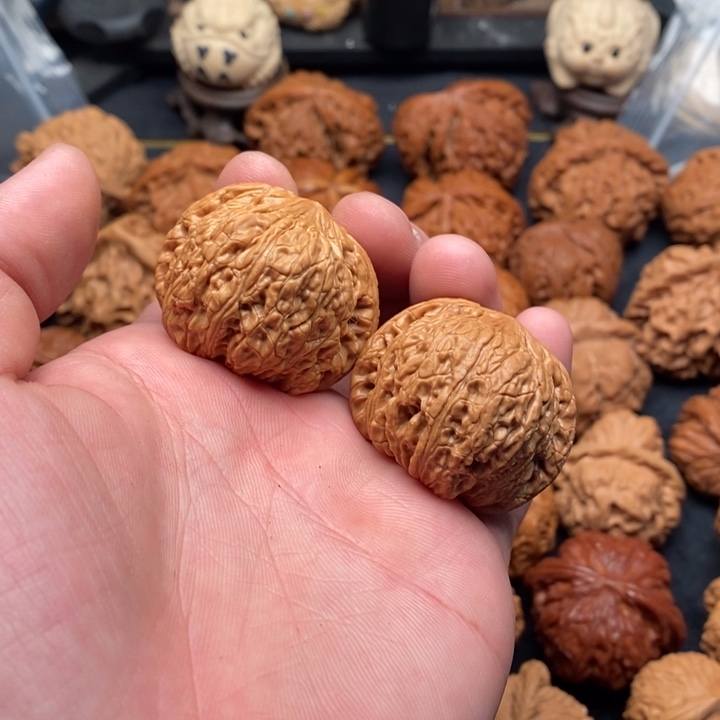 泥鳅背狮子头全品无修