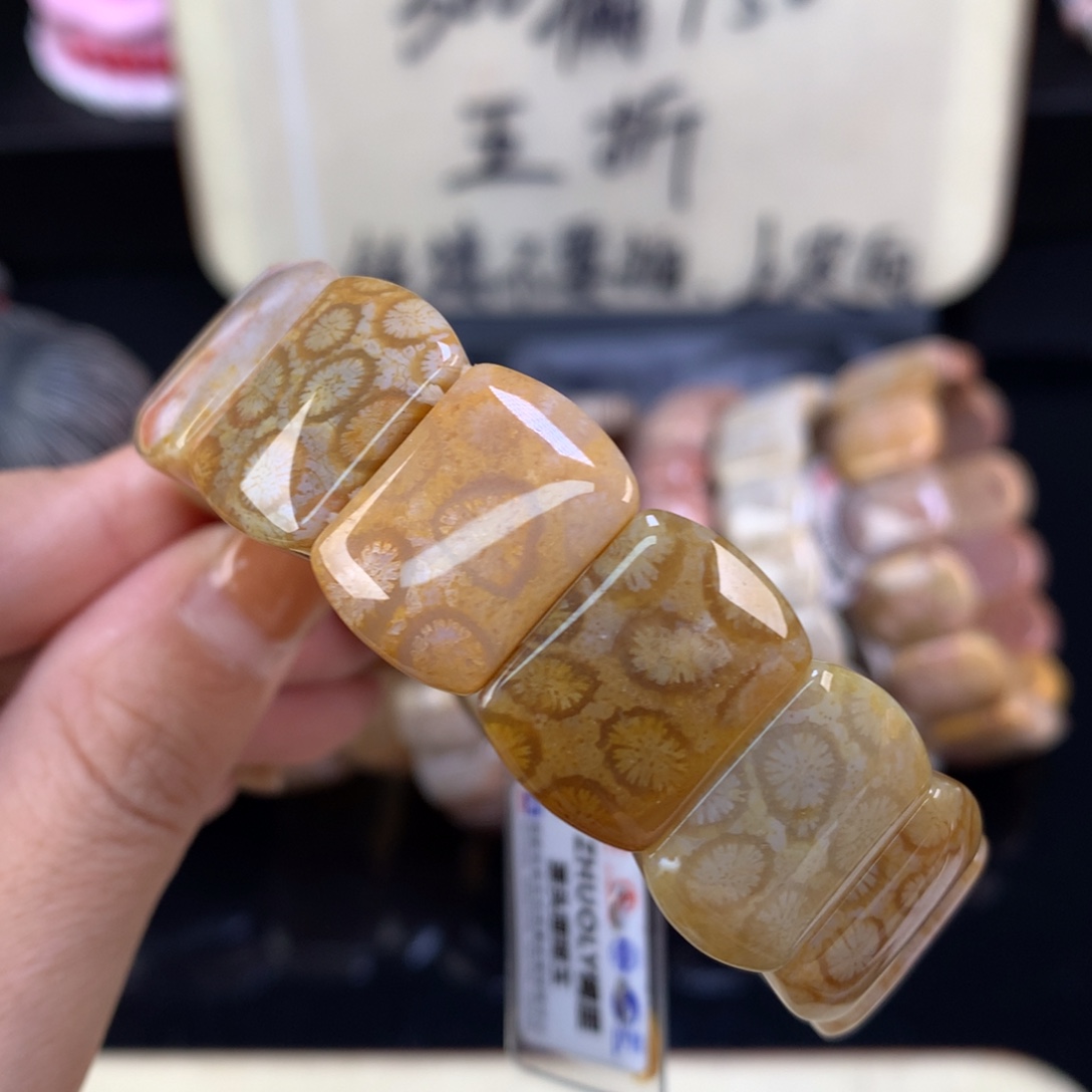 硅化珊瑚（珊瑚玉）未镶嵌颈饰五折漏价手牌（9号）