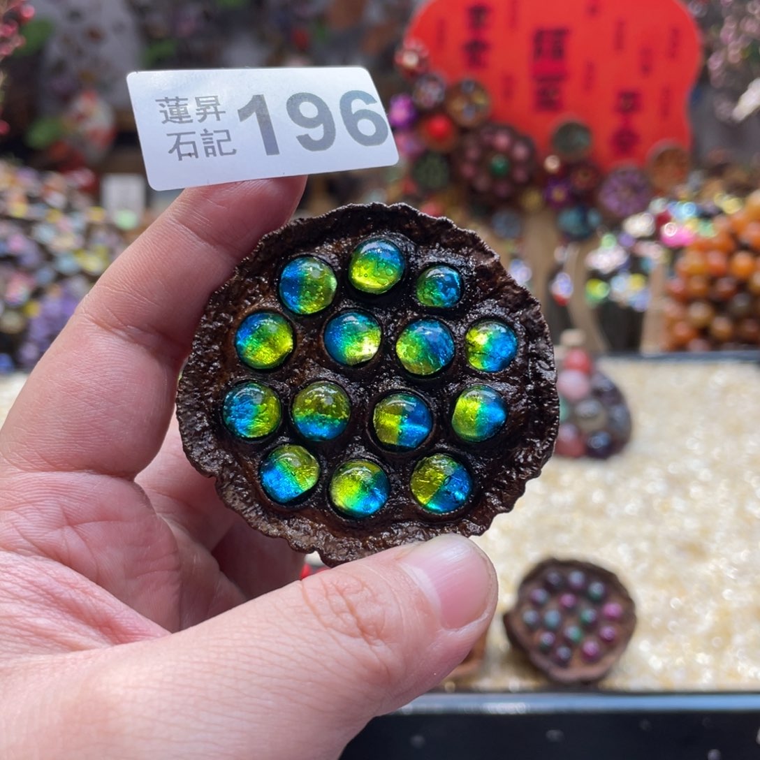 核桃木/黑胡桃（胡桃木）株****对196