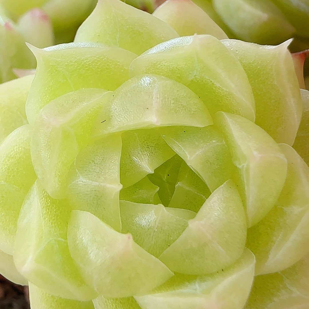 ****【闪购商品】0712-27全散