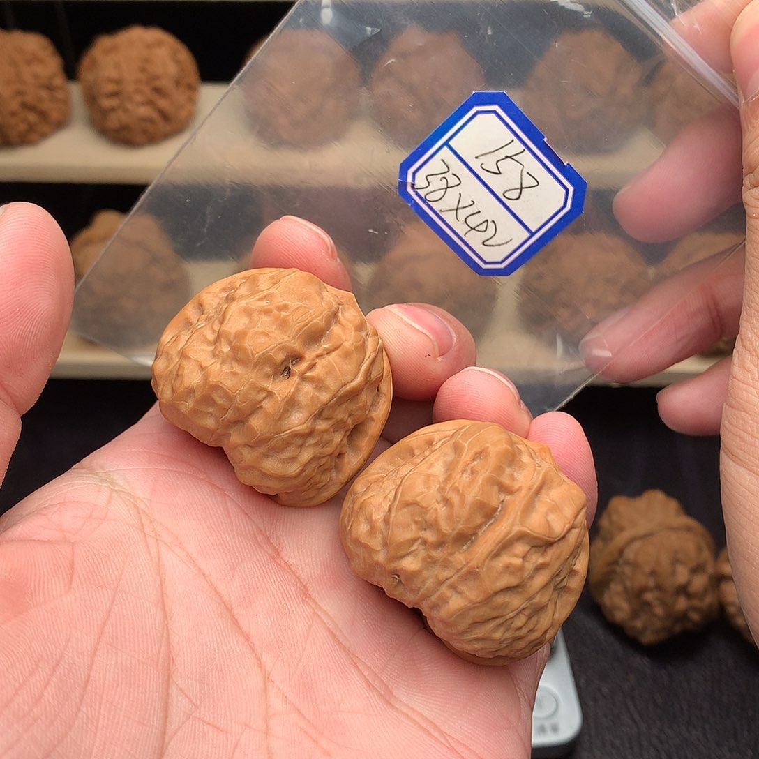 核桃158米38尺肉蛙