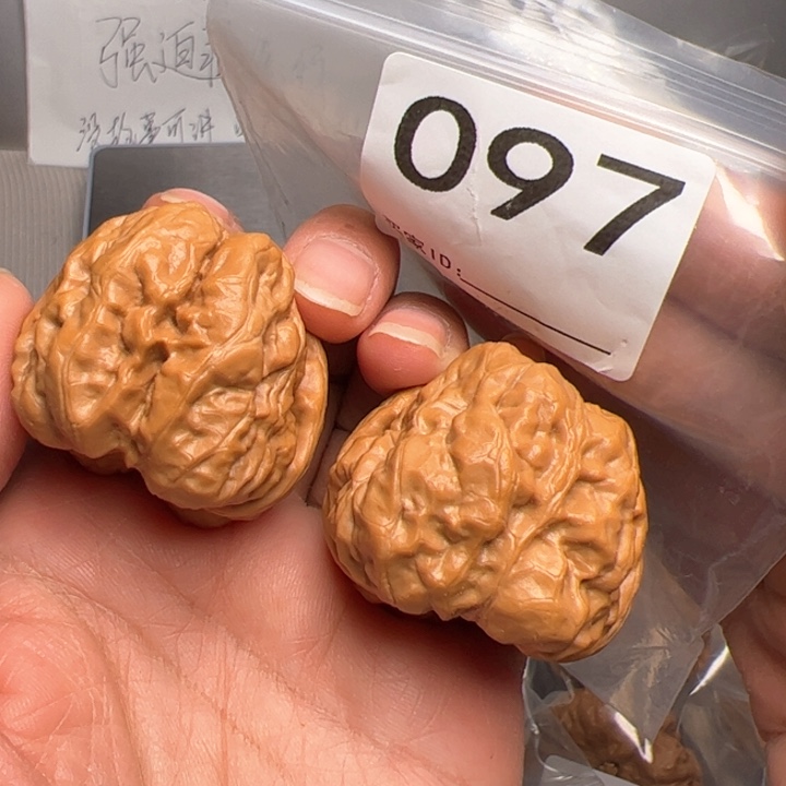 核桃肌肉蛙097号40尺