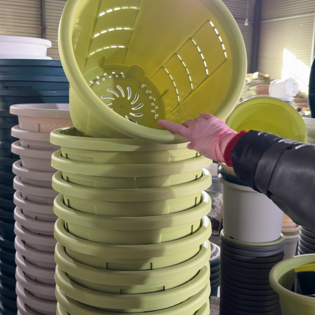 测孔 7# 口径40带拖果绿4套