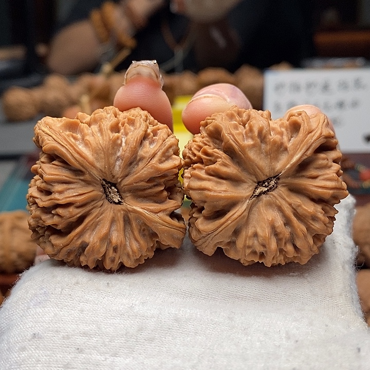 核桃2号 42尺南疆石 对龟 全品