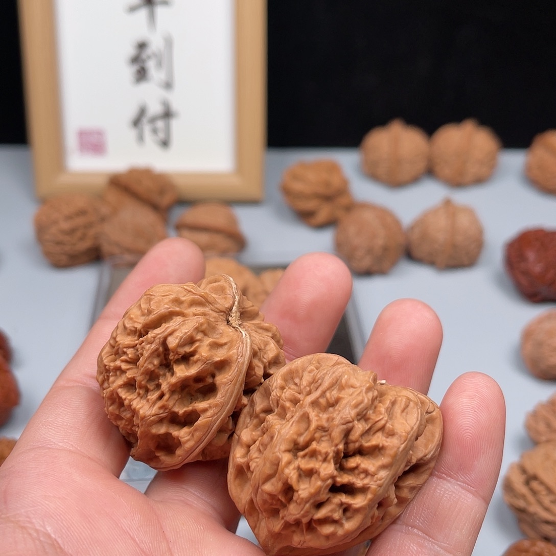 核桃承德粗筋核桃