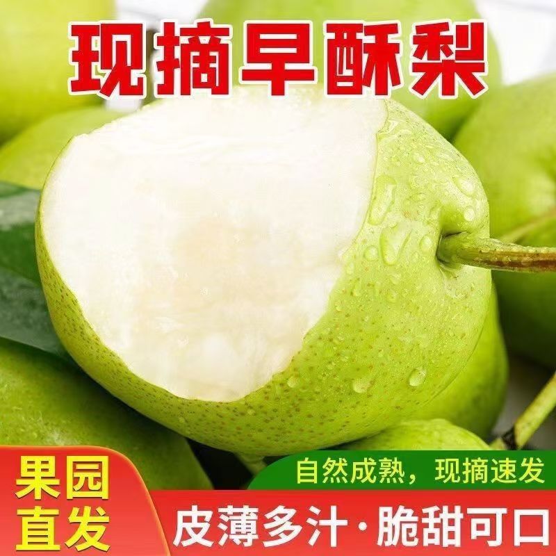 【爆甜多汁】正宗山西早酥梨皮薄多汁新鲜水果
