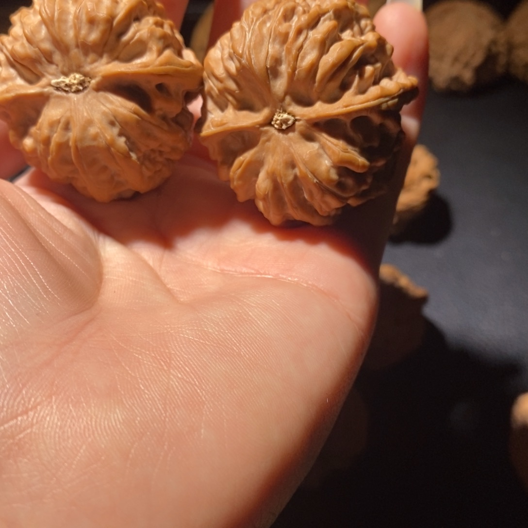 甲***辰吊坠文玩核桃野生