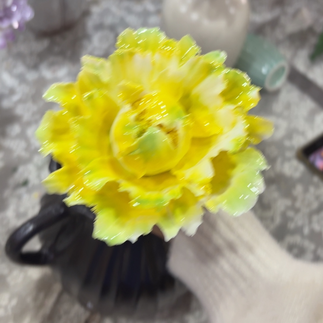 陶瓷花满20元发货，退款的拉黑