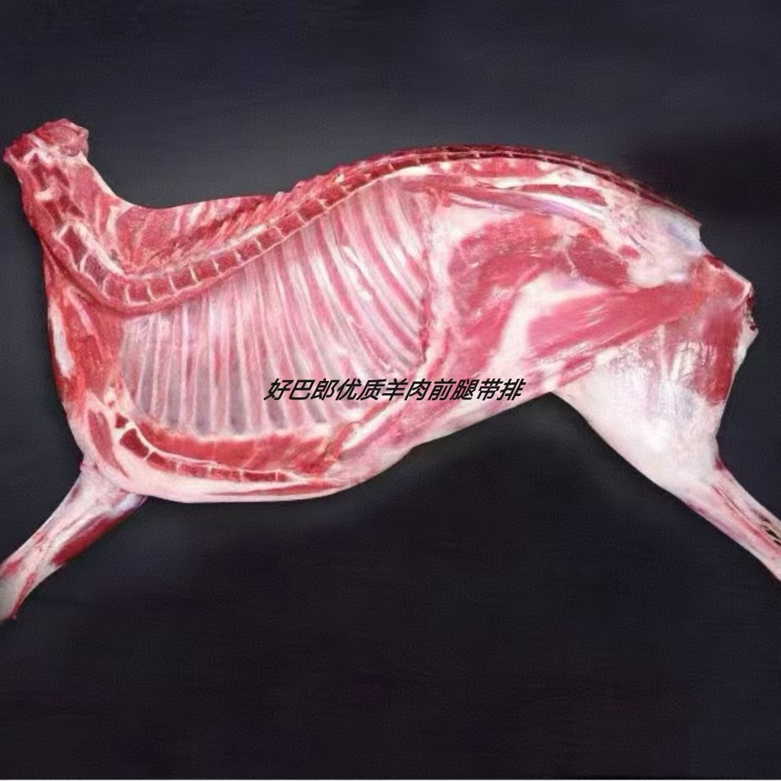 【新疆直发顺丰包邮】新疆现杀新鲜羊肉.羊排 羊腿 带排前腿 整羊