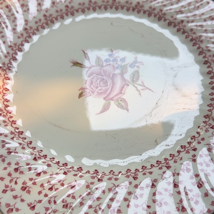 瓷片开播啦…开播啦！