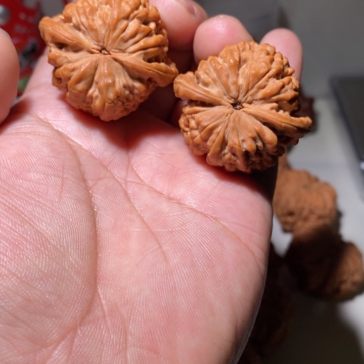 王文玩核桃官帽核桃